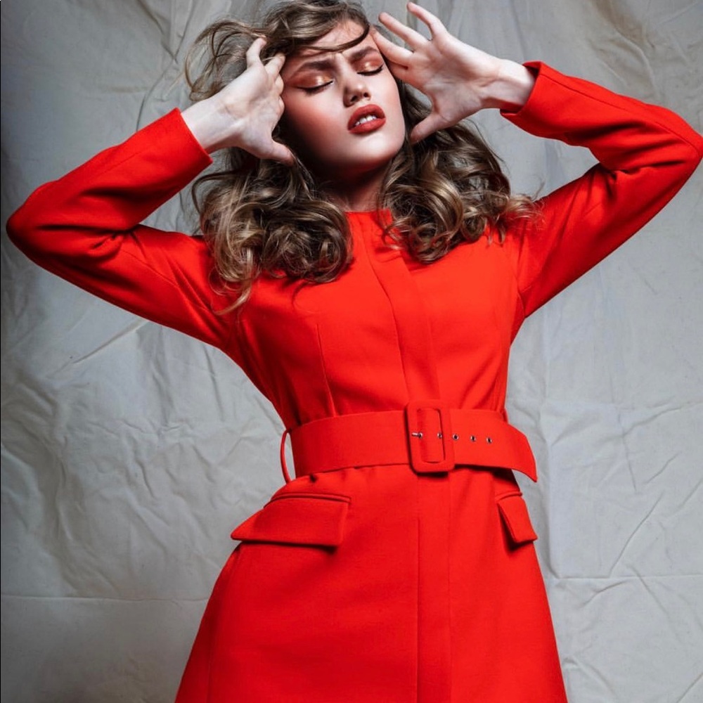 BLOGGERS FAVORITE ZARA BELTED FROCK COAT - Picture 3 of 8